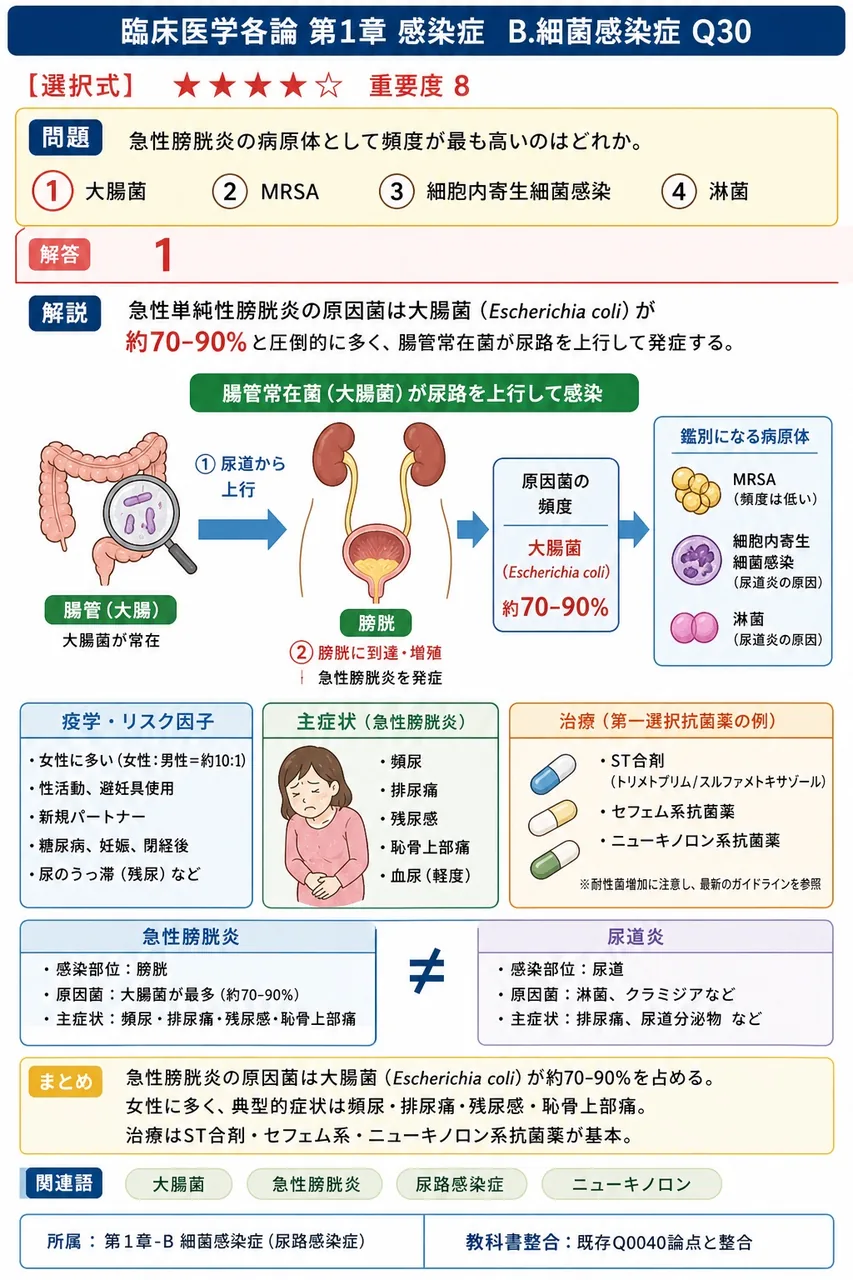 急性膀胱炎の病原体として頻度が最も高いのはどれか。 解説図