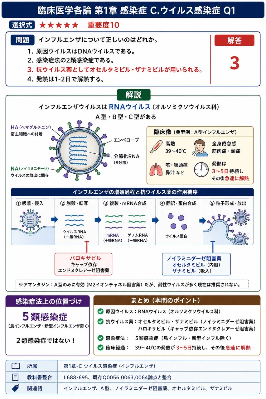 インフルエンザについて正しいのはどれか。 解説図