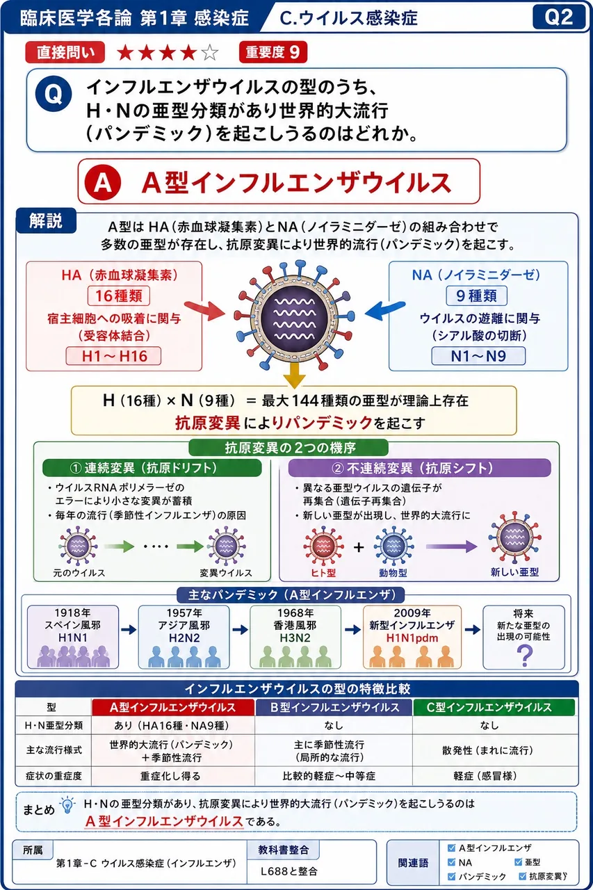 インフルエンザウイルスの型のうち、H・Nの亜型分類があり世界的大流行(パンデミック)を起こしうるのはどれか。 解説図