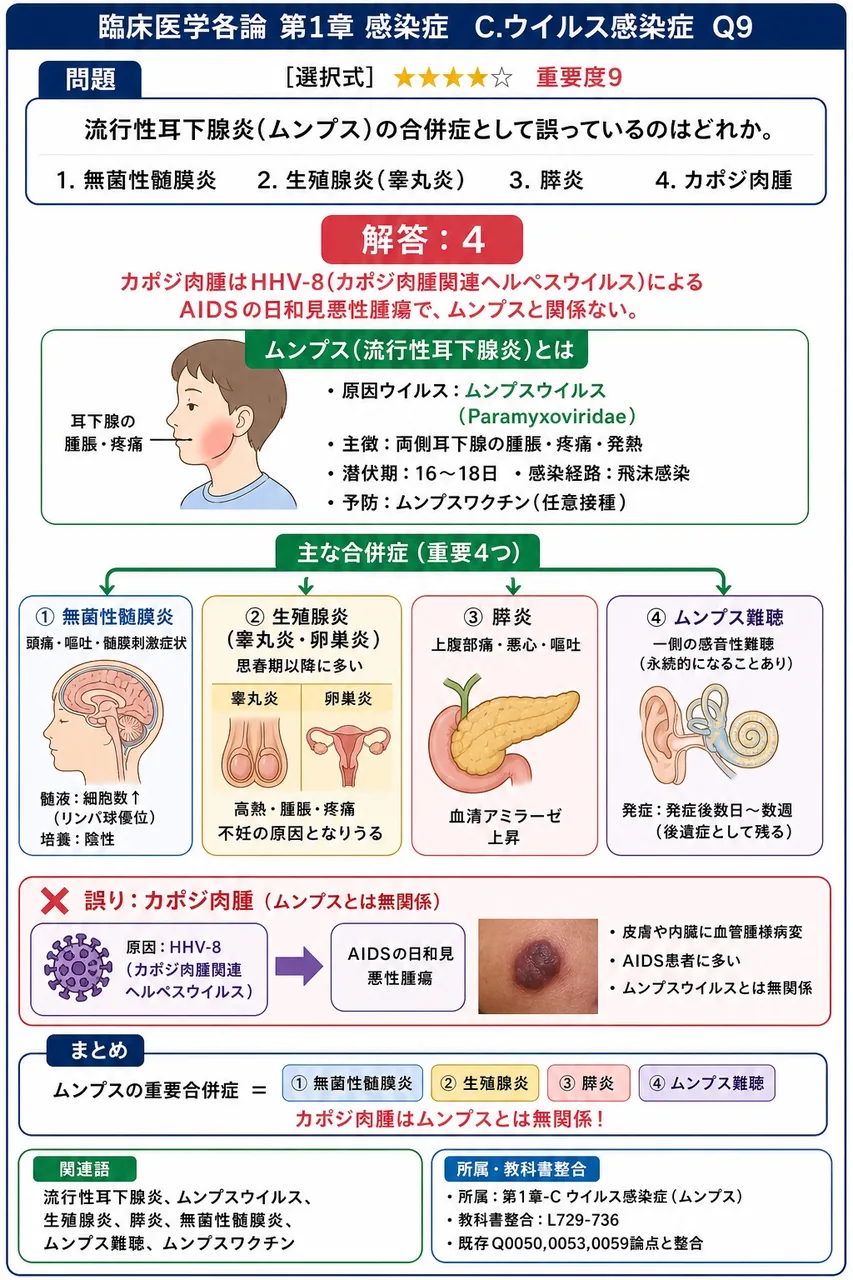 流行性耳下腺炎(ムンプス)の合併症として誤っているのはどれか。 解説図
