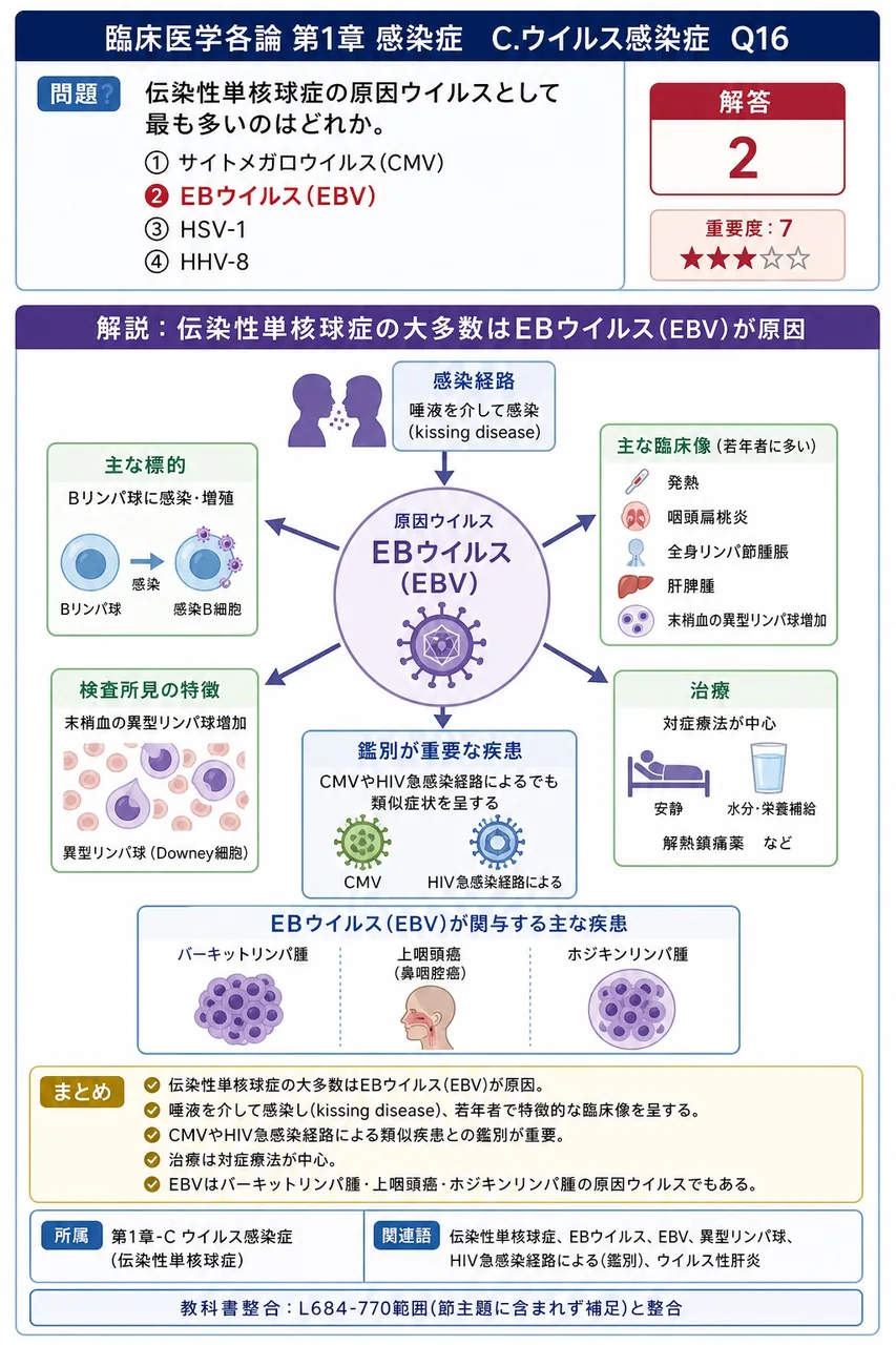 伝染性単核球症の原因ウイルスとして最も多いのはどれか。 解説図