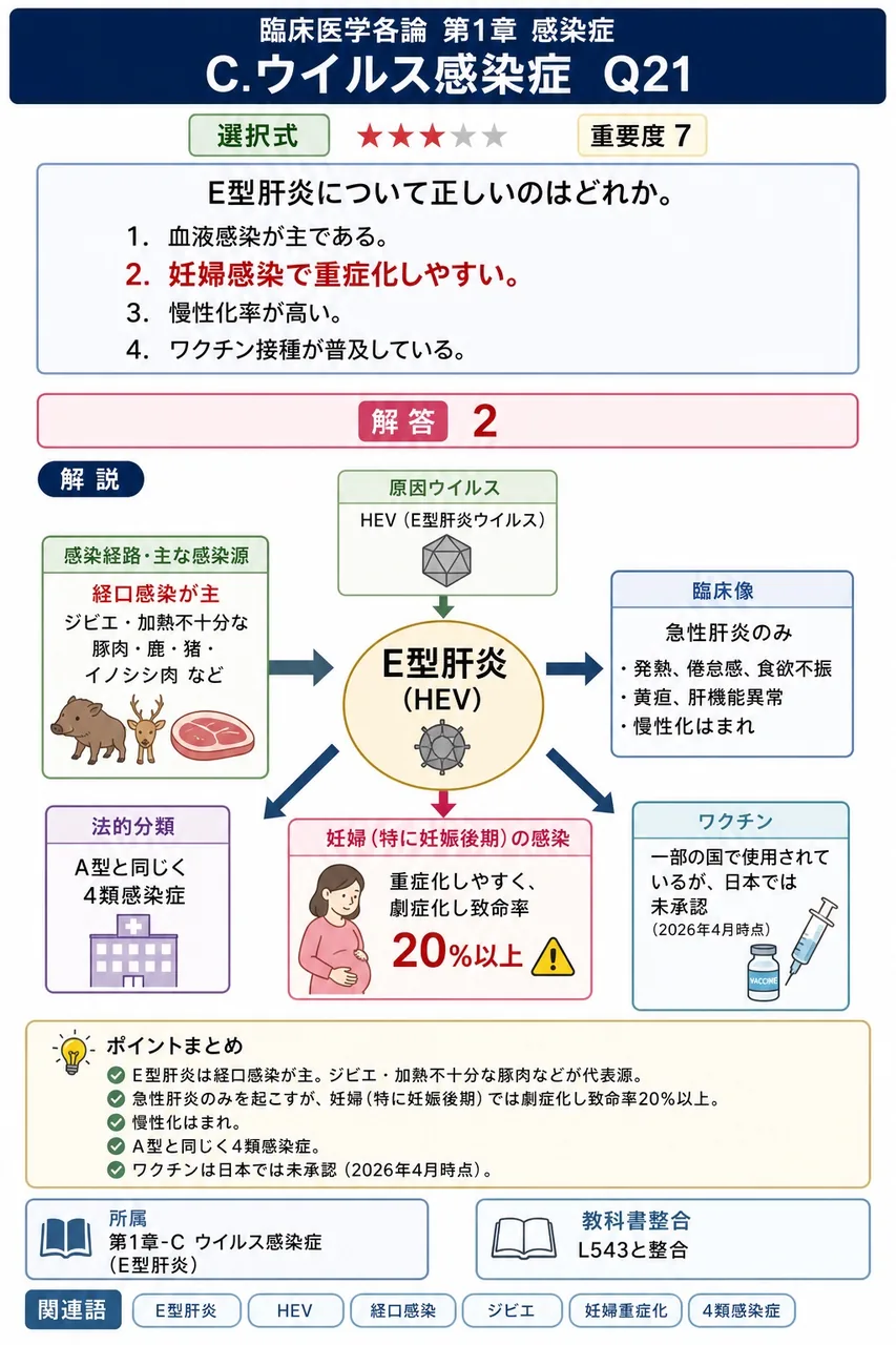 E型肝炎について正しいのはどれか。 解説図