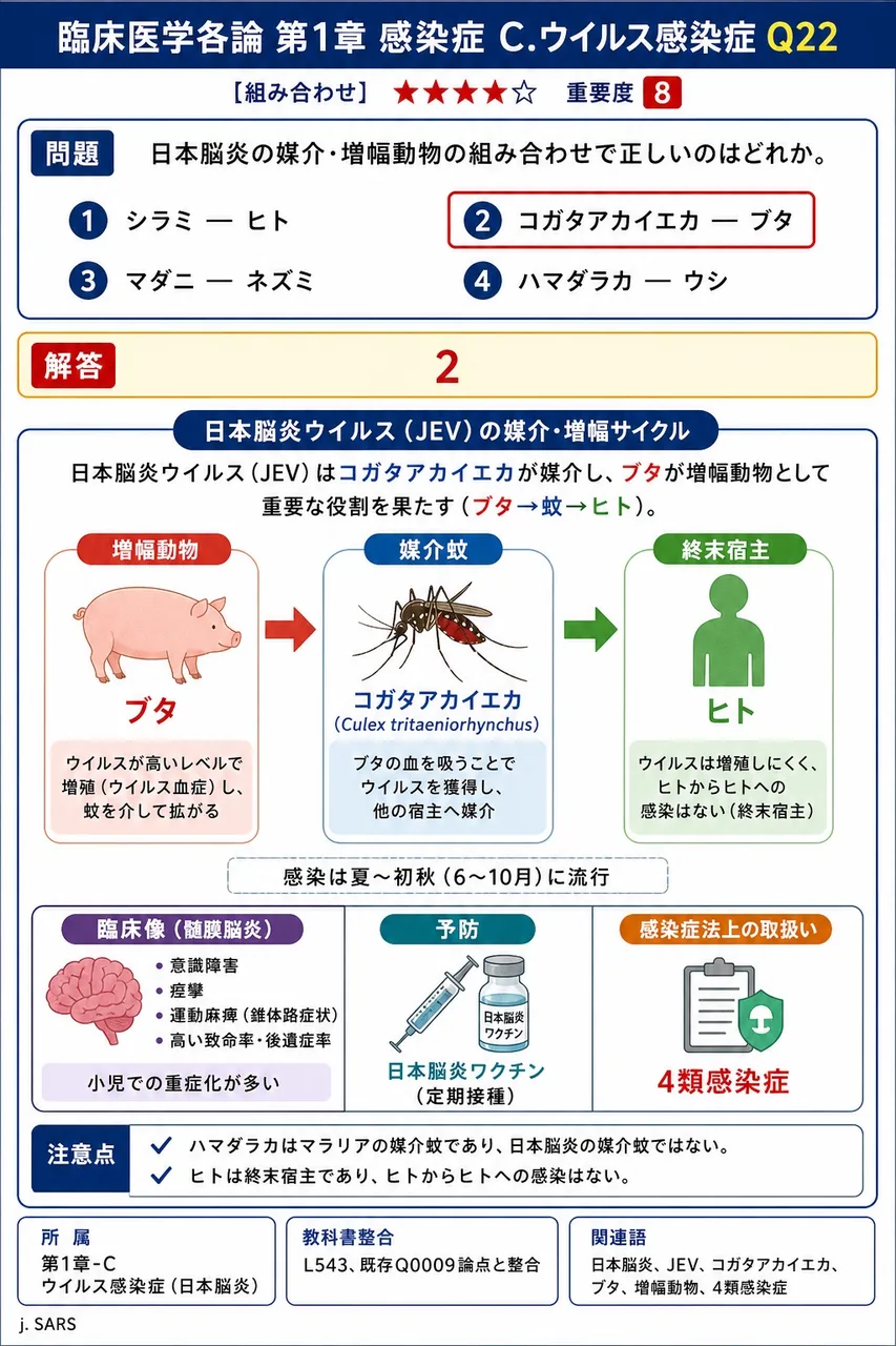 日本脳炎の媒介・増幅動物の組み合わせで正しいのはどれか。 解説図
