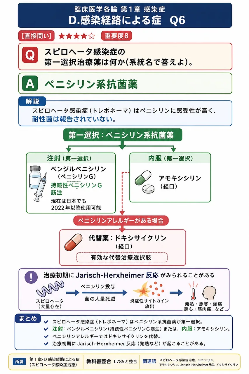 梅毒の第一選択治療薬は何か(系統名で答えよ)。 解説図