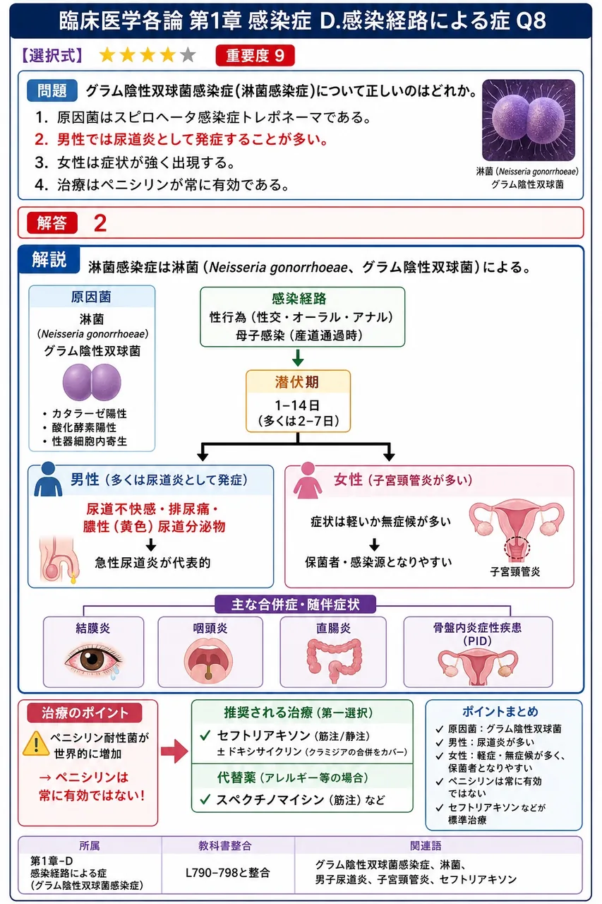 淋病(淋菌感染症)について正しいのはどれか。 解説図
