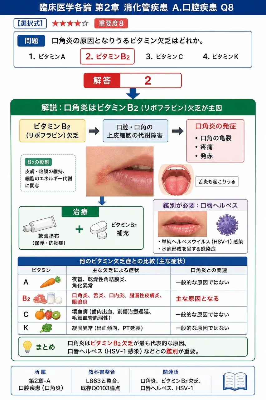 口角炎の原因となりうるビタミン欠乏はどれか。 解説図
