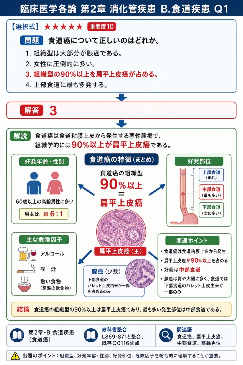 食道癌について正しいのはどれか。 解説図