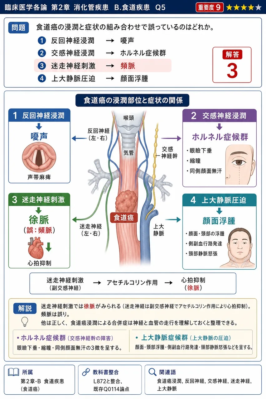 食道癌の浸潤と症状の組み合わせで誤っているのはどれか。 解説図
