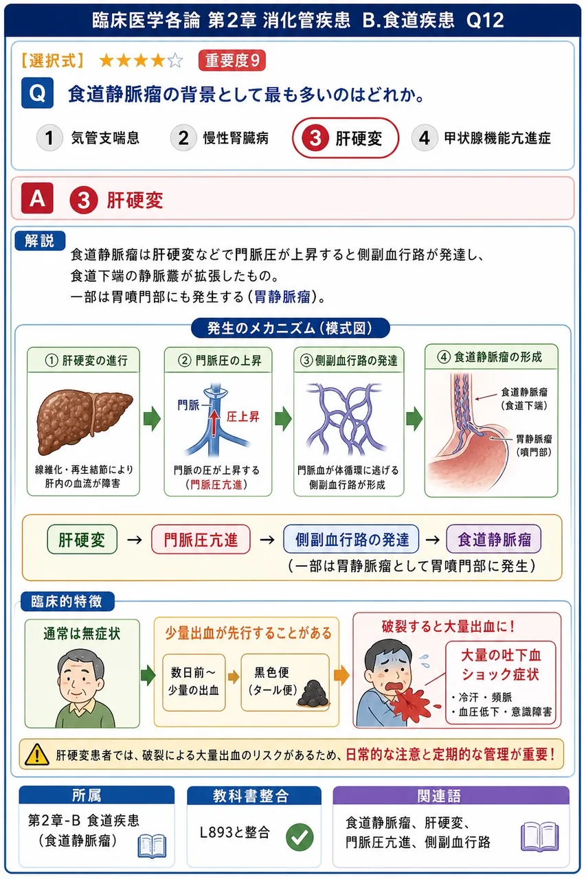 食道静脈瘤の背景として最も多いのはどれか。 解説図