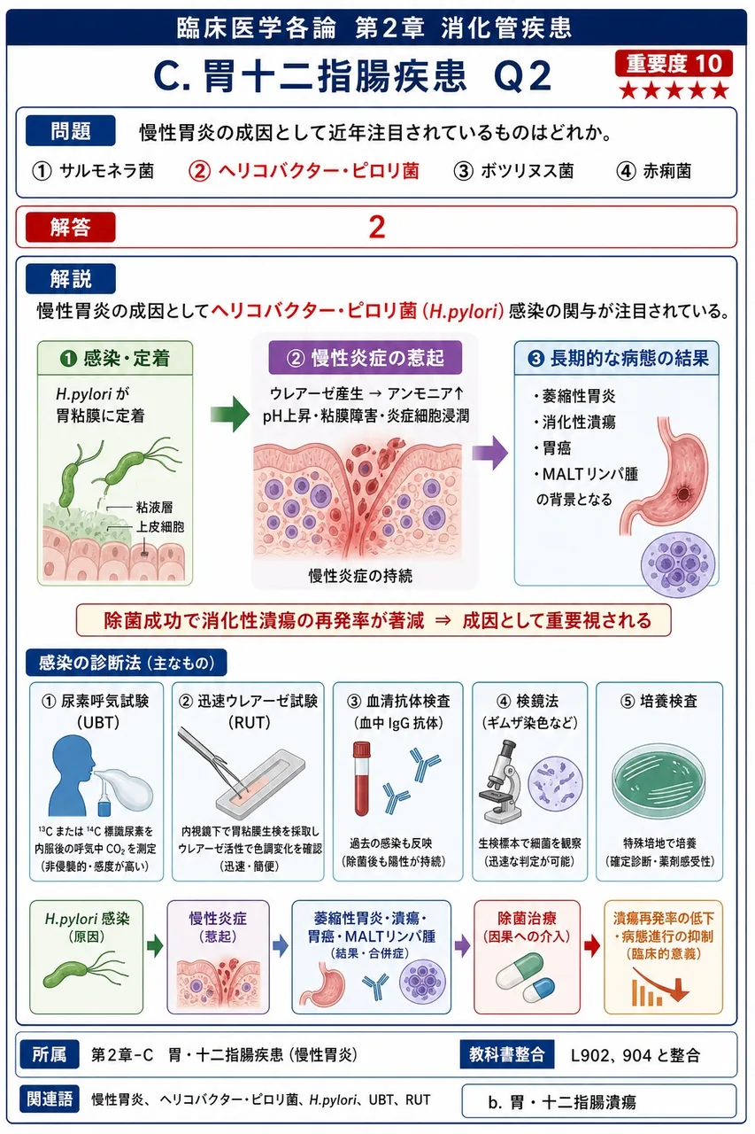慢性胃炎の成因として近年注目されているものはどれか。 解説図