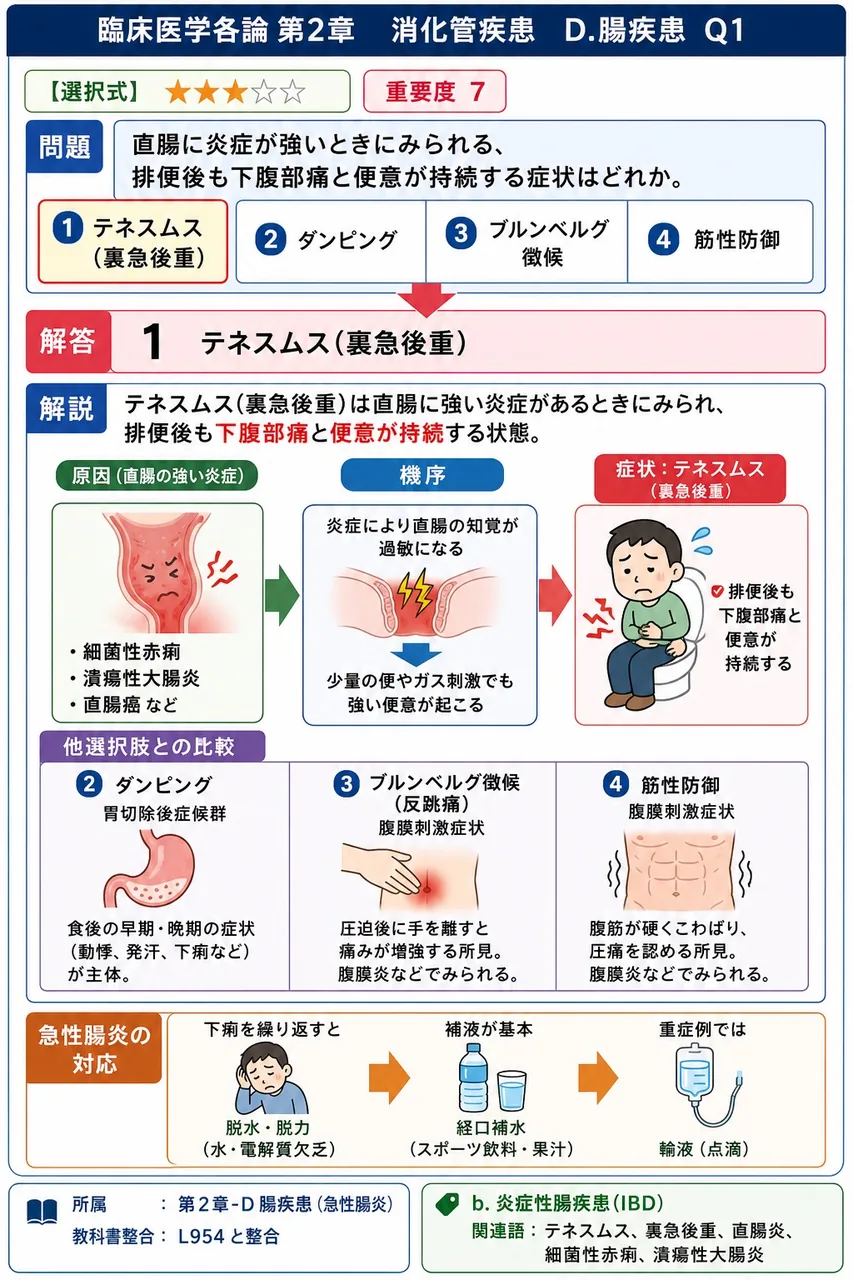 直腸に炎症が強いときにみられる、排便後も下腹部痛と便意が持続する症状はどれか。 解説図