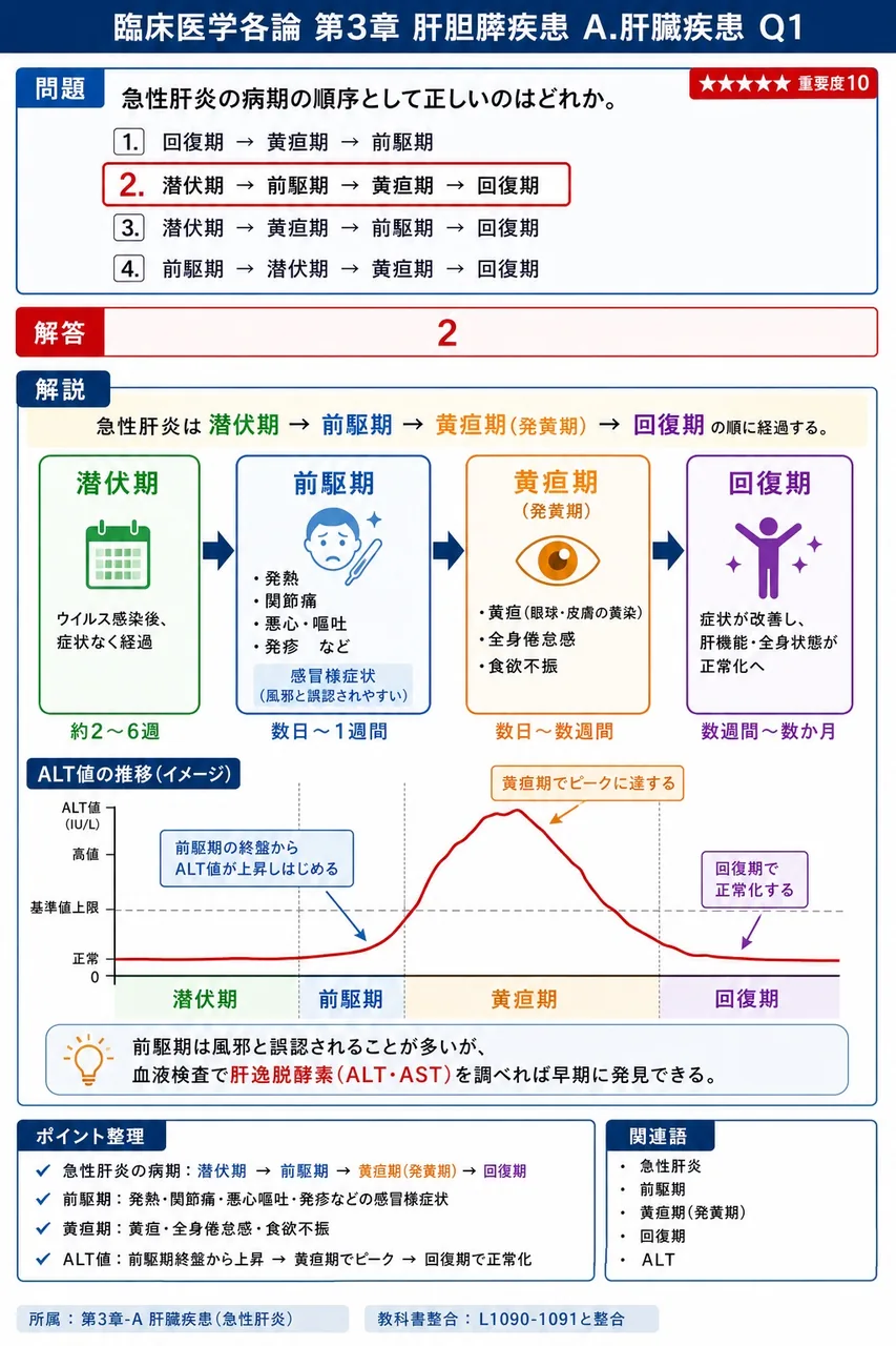 急性肝炎の病期の順序として正しいのはどれか。 解説図