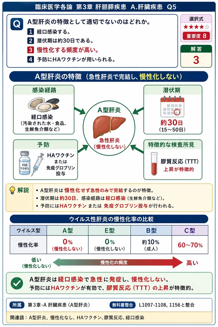 A型肝炎の特徴として適切でないのはどれか。 解説図