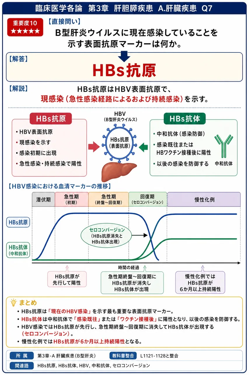B型肝炎ウイルスに現在感染していることを示す表面抗原マーカーは何か。 解説図