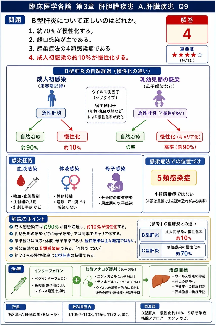 B型肝炎について正しいのはどれか。 解説図