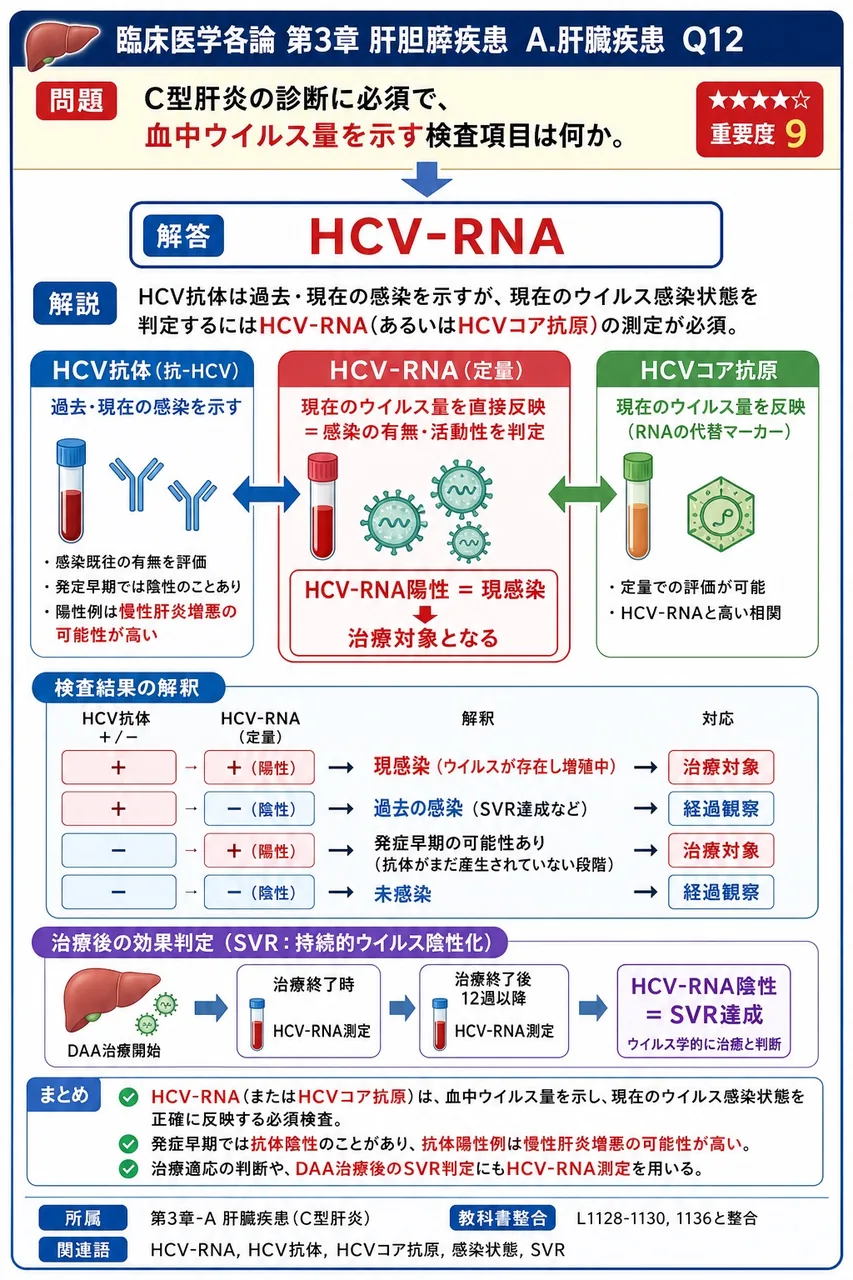 C型肝炎の診断に必須で、血中ウイルス量を示す検査項目は何か。 解説図