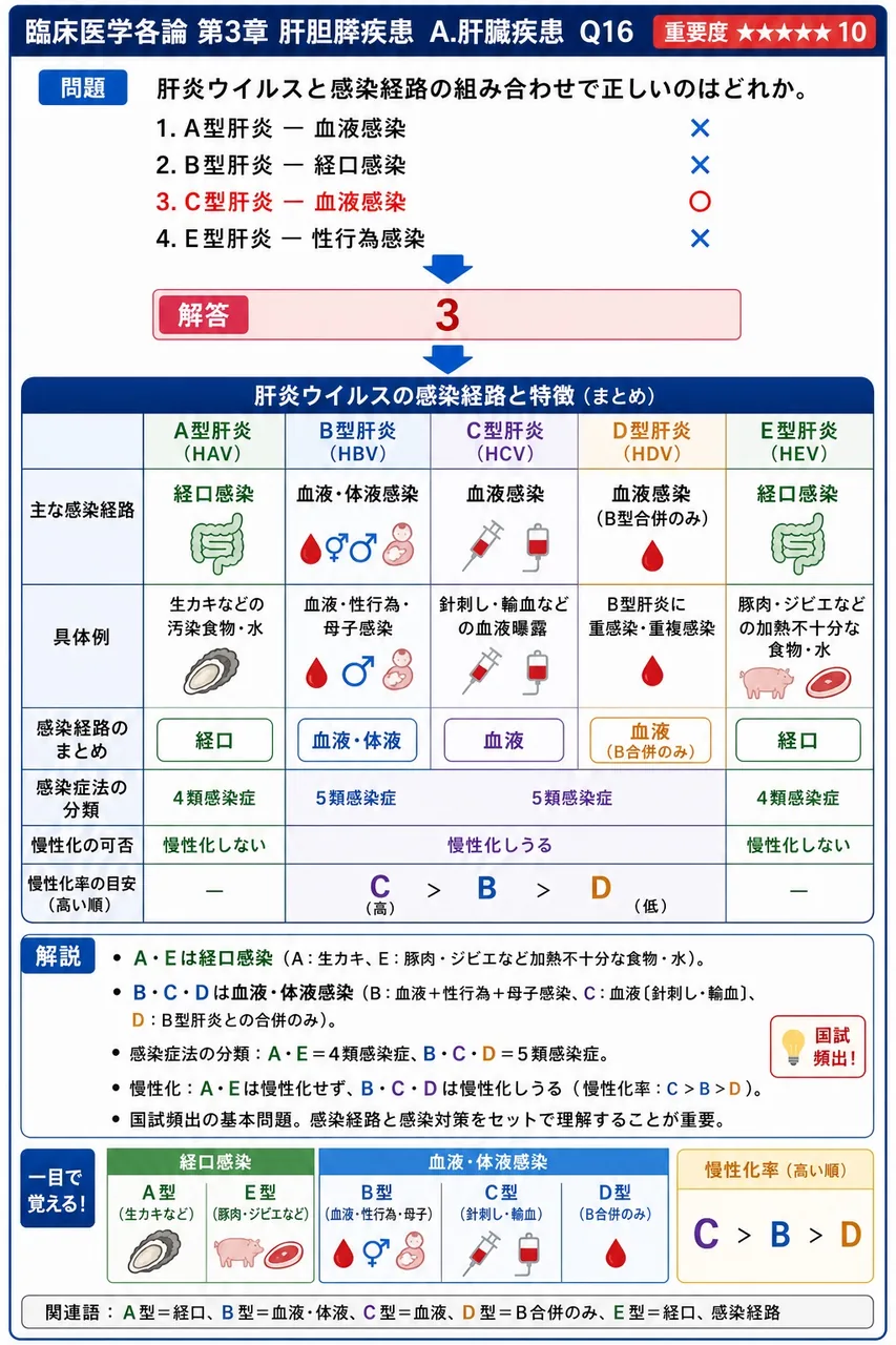 肝炎ウイルスと感染経路の組み合わせで正しいのはどれか。 解説図