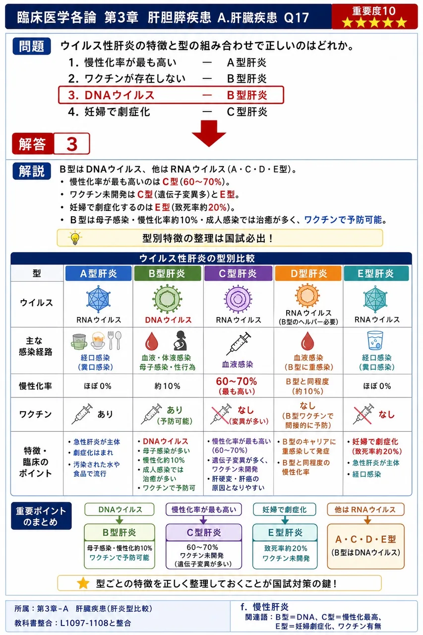 ウイルス性肝炎の特徴と型の組み合わせで正しいのはどれか。 解説図