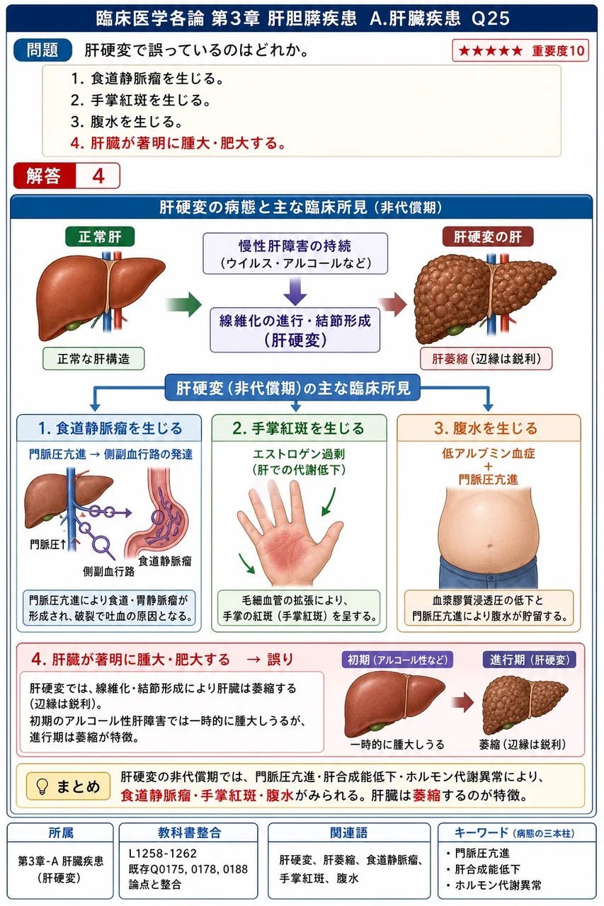 肝硬変で誤っているのはどれか。 解説図
