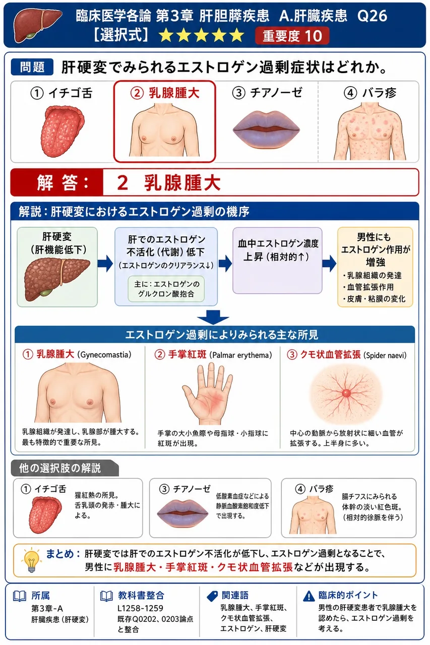 肝硬変でみられるエストロゲン過剰症状はどれか。 解説図