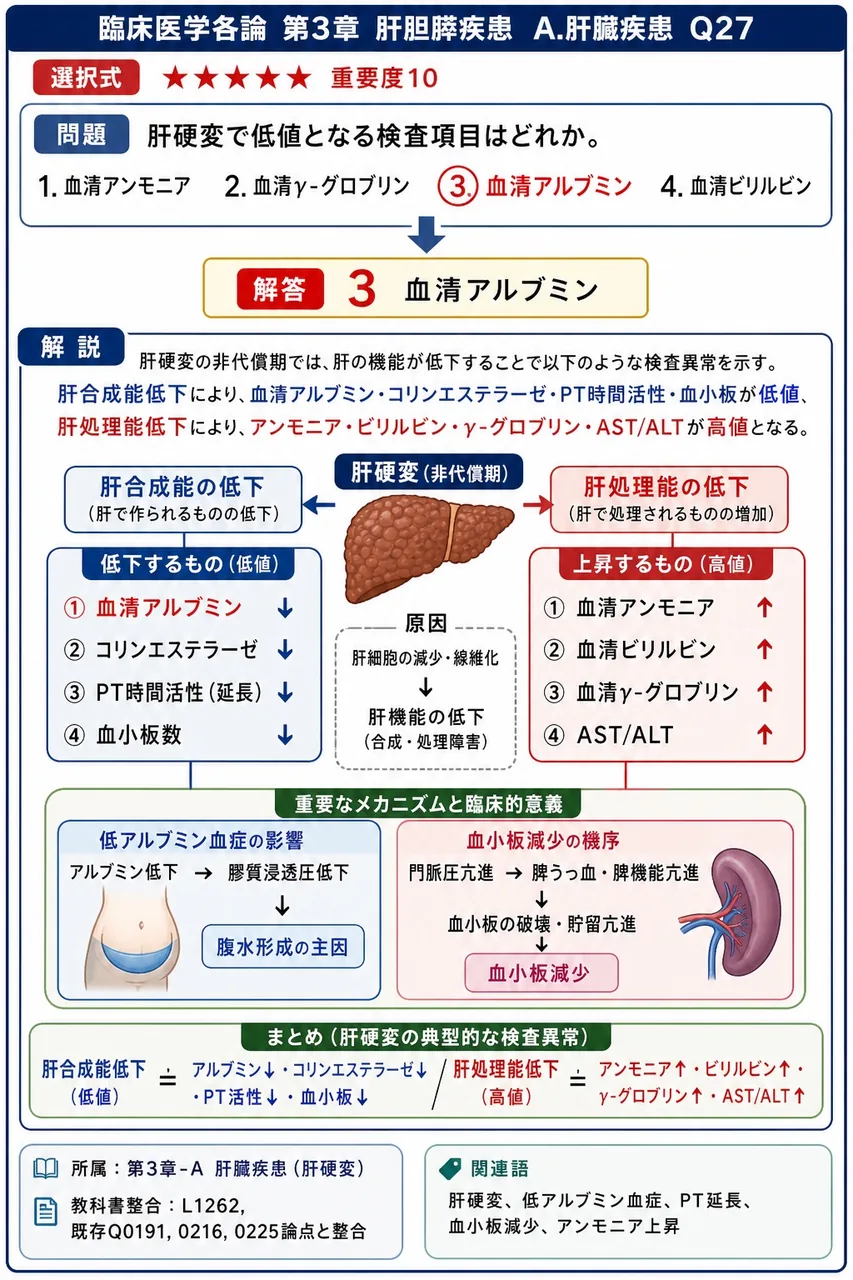 肝硬変で低値となる検査項目はどれか。 解説図