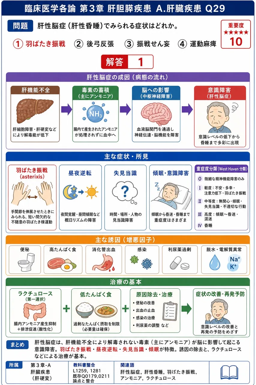肝性脳症(肝性昏睡)でみられる症状はどれか。 解説図