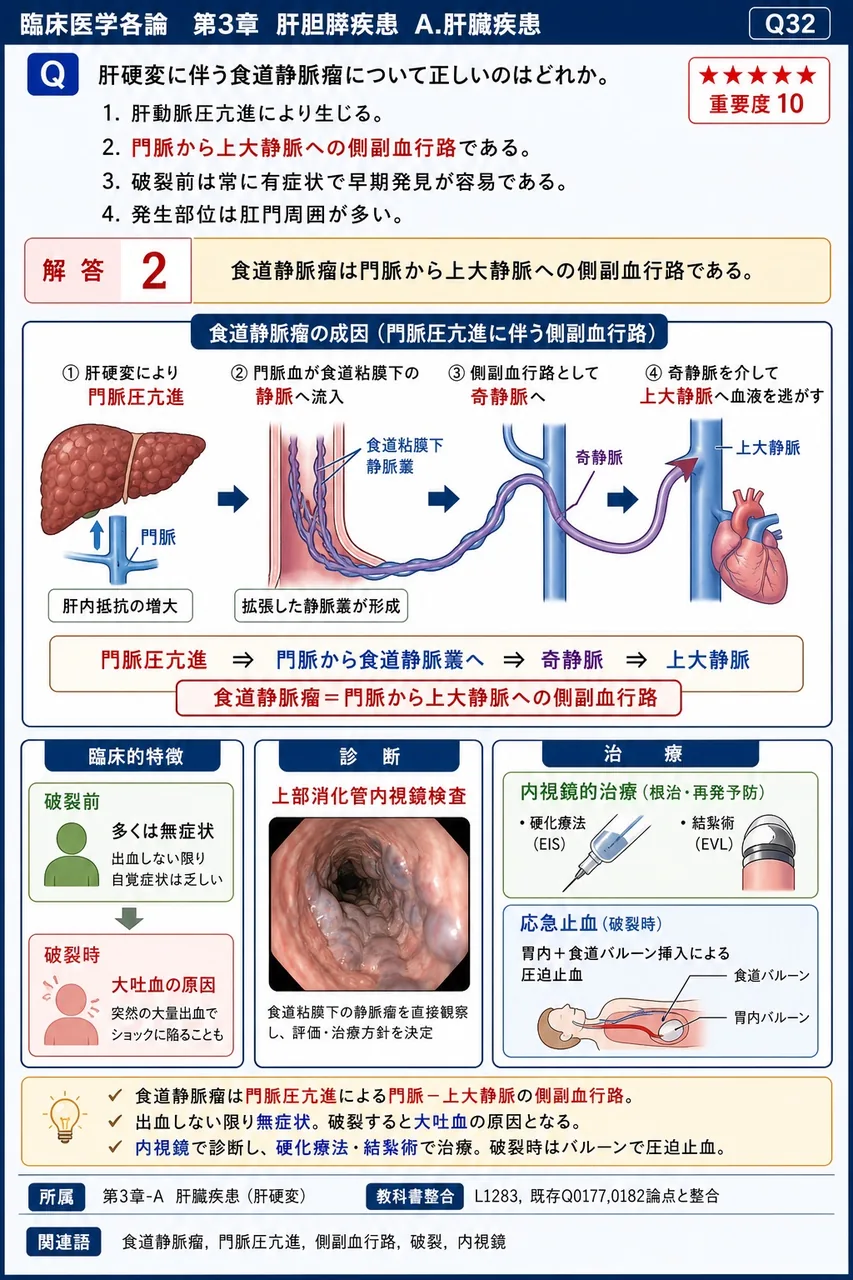 肝硬変に伴う食道静脈瘤について正しいのはどれか。 解説図
