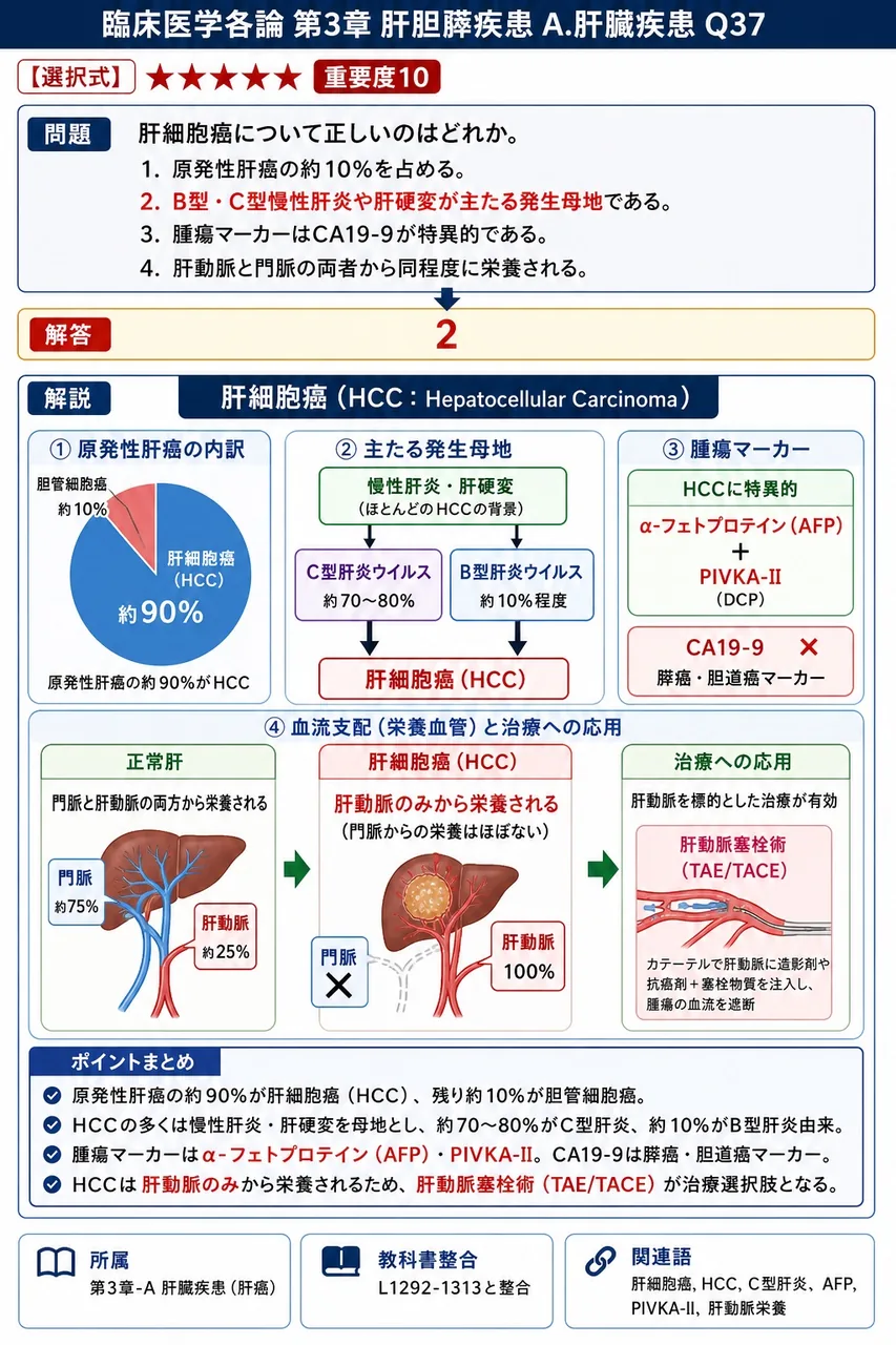 肝細胞癌について正しいのはどれか。 解説図
