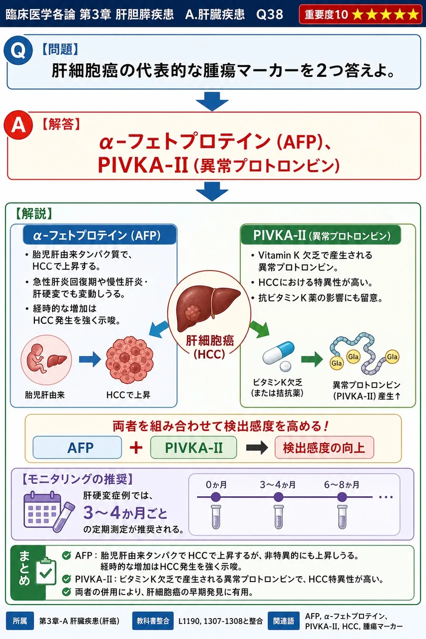 肝細胞癌の代表的な腫瘍マーカーを2つ答えよ。 解説図