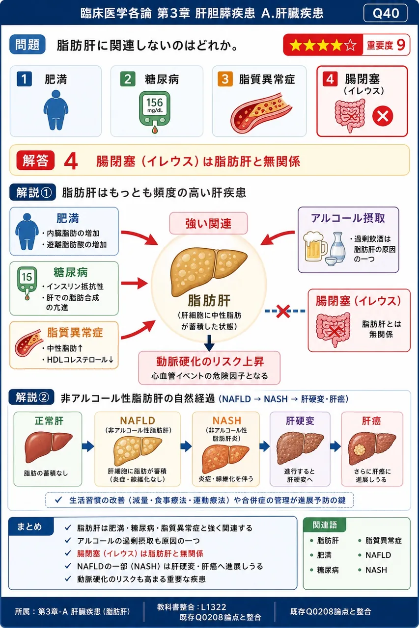 脂肪肝に関連しないのはどれか。 解説図