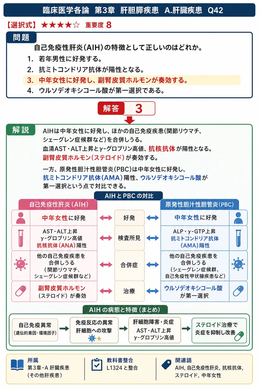 自己免疫性肝炎(AIH)の特徴として正しいのはどれか。 解説図