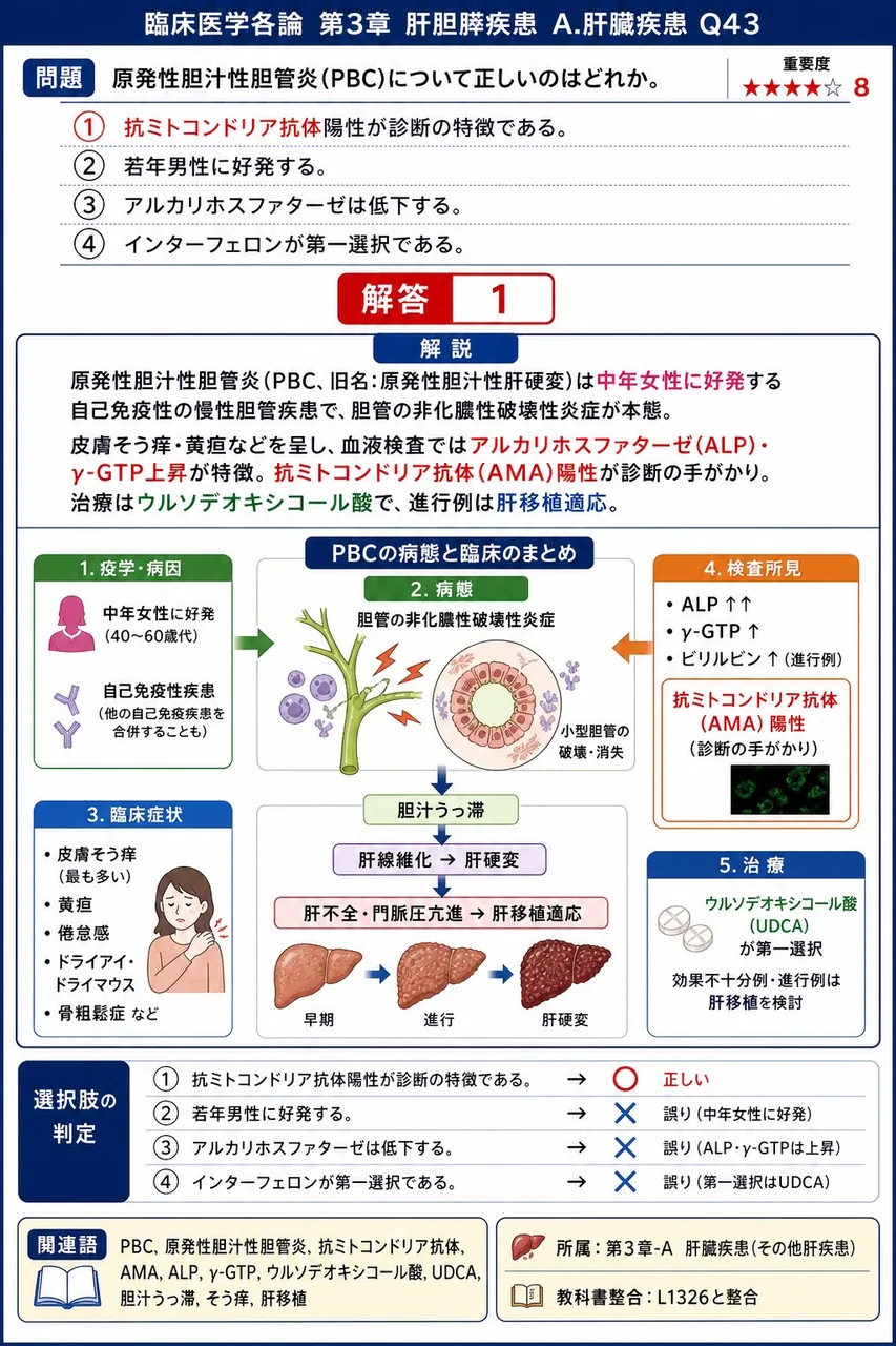 原発性胆汁性胆管炎(PBC)について正しいのはどれか。 解説図