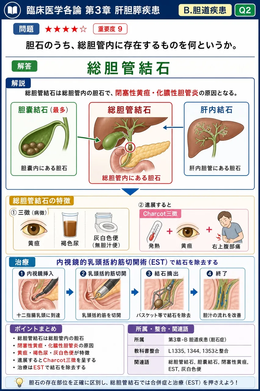 胆石のうち、総胆管内に存在するものを何というか。 解説図