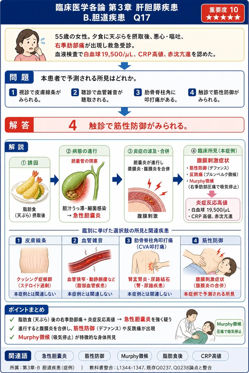 「55歳の女性。夕食に天ぷらを摂取後、悪心・嘔吐、右季肋部痛が出現し救急受診。血液検査で白血球19,500/μL、CRP高値、赤沈亢進を認めた。」本患者で予測される所見はどれか。 解説図