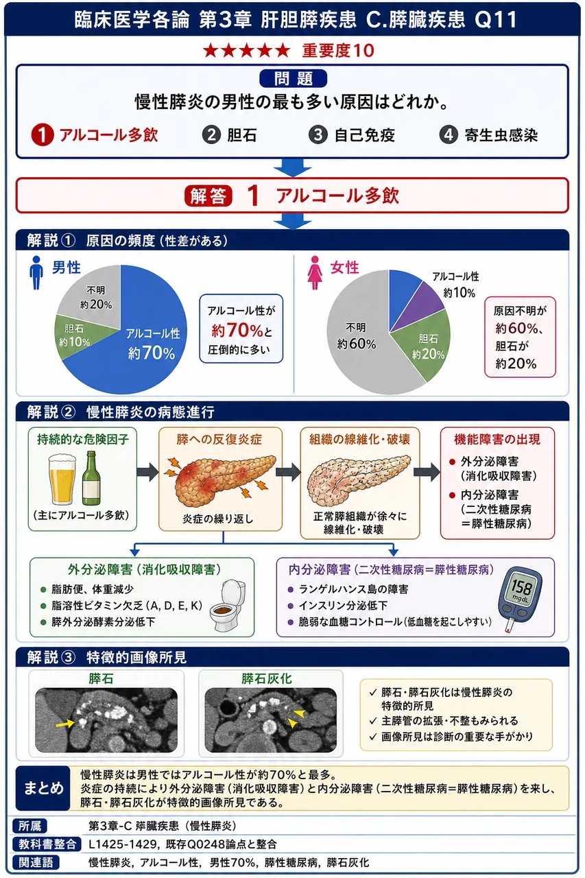 慢性膵炎の男性の最も多い原因はどれか。 解説図