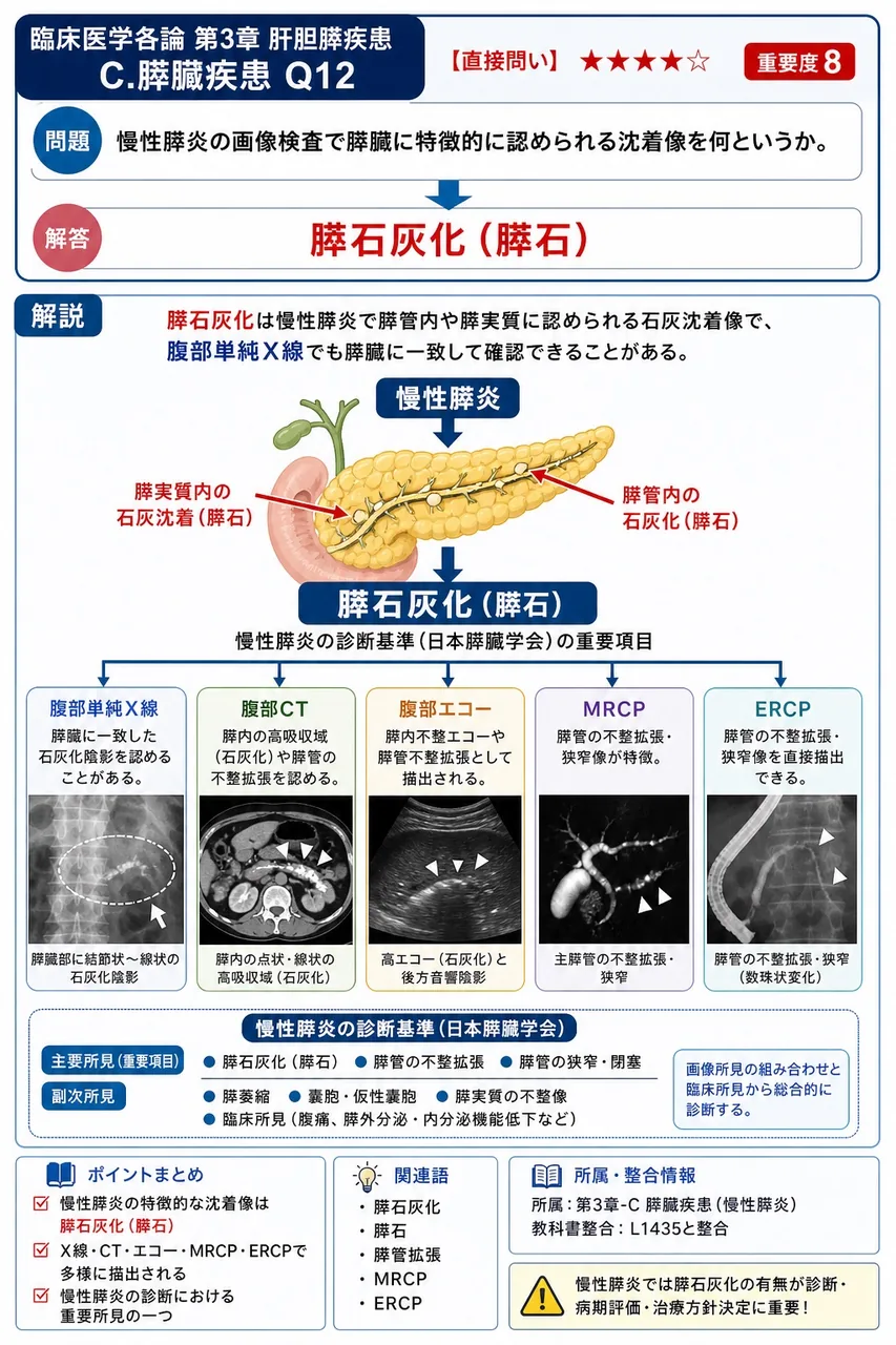 慢性膵炎の画像検査で膵臓に特徴的に認められる沈着像を何というか。 解説図