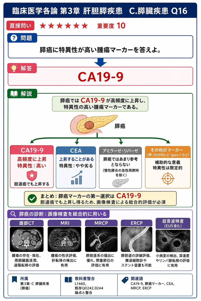 膵癌に特異性が高い腫瘍マーカーを答えよ。 解説図