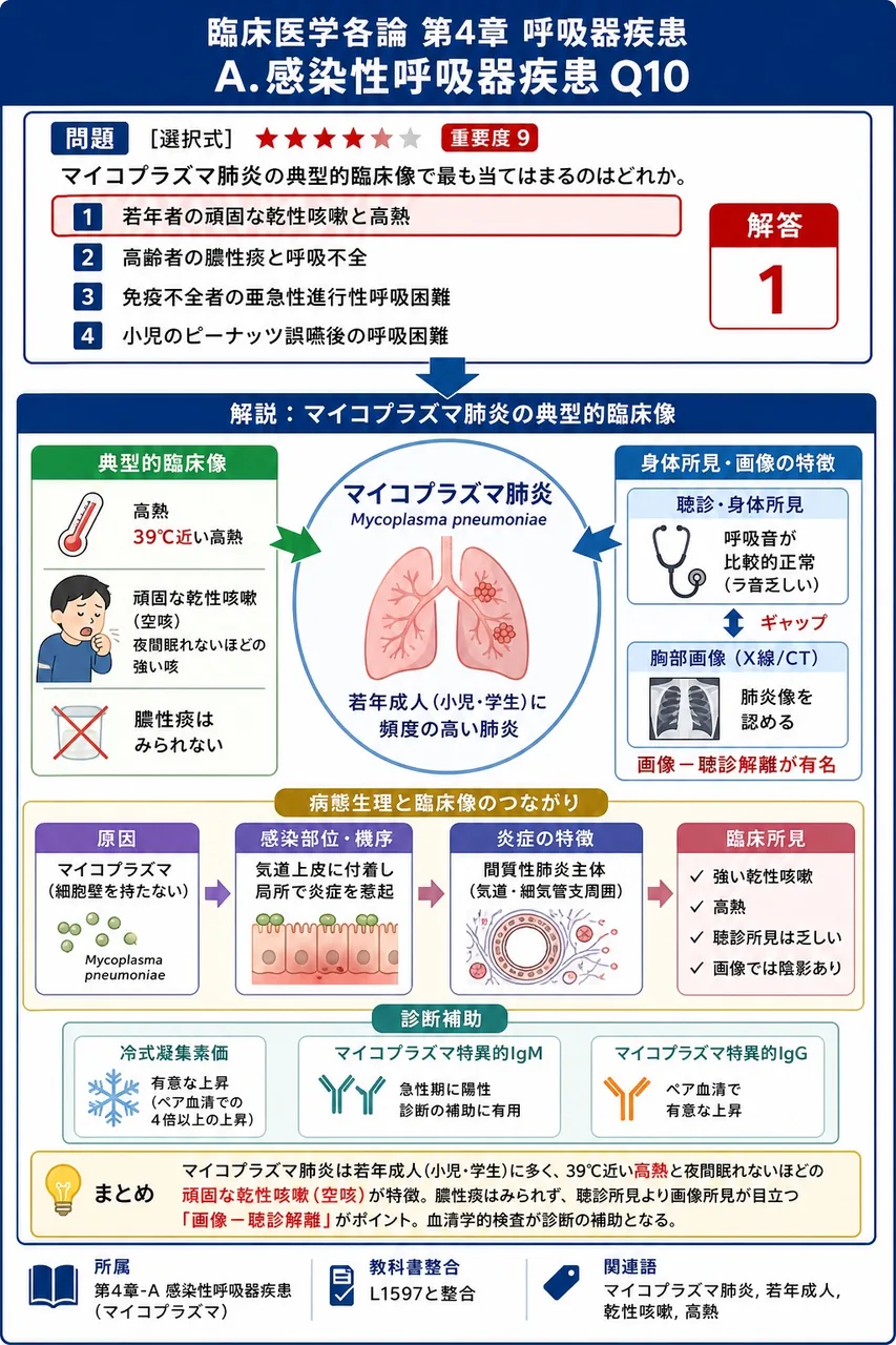 マイコプラズマ肺炎の典型的臨床像で最も当てはまるのはどれか。 解説図