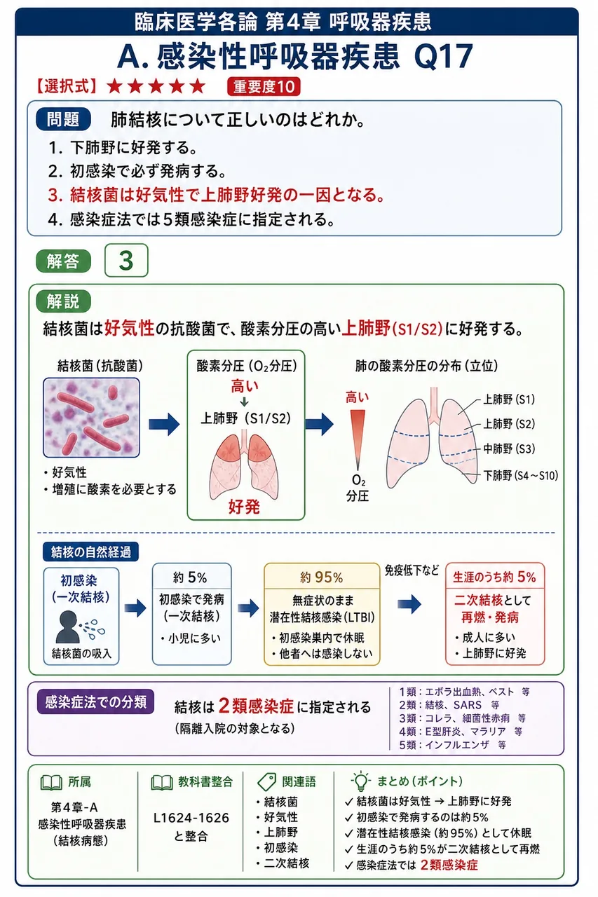 肺結核について正しいのはどれか。 解説図