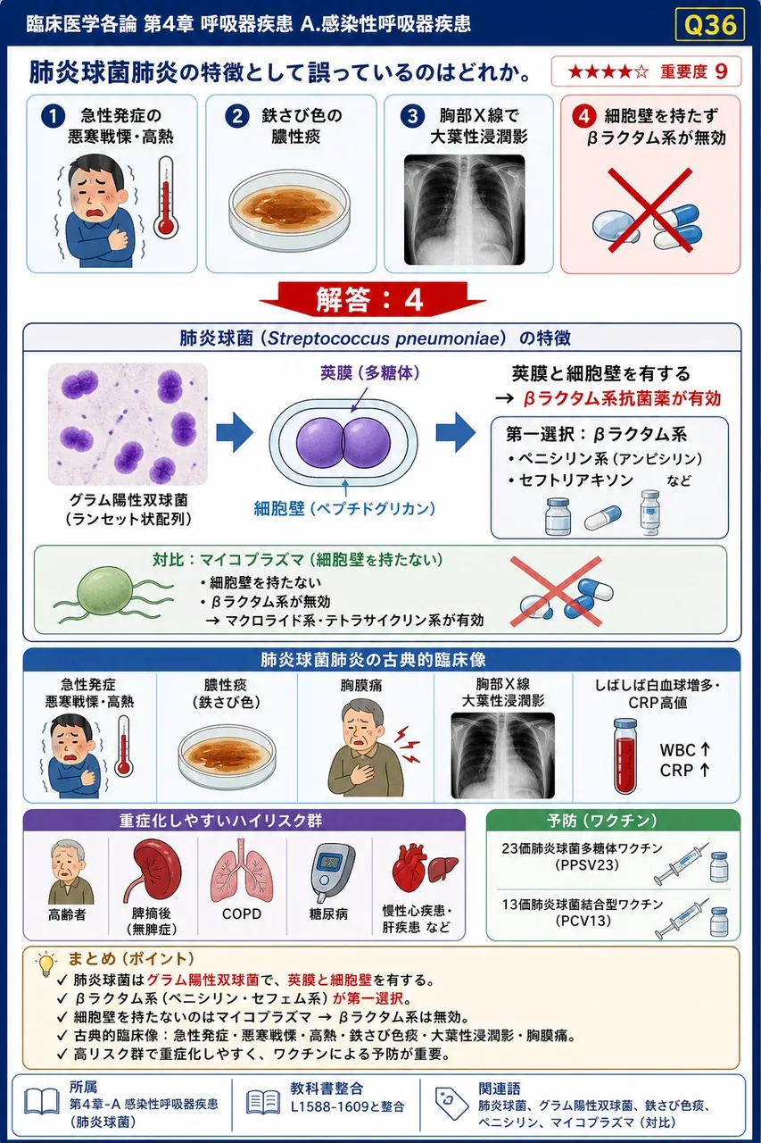 肺炎球菌肺炎の特徴として誤っているのはどれか。 解説図