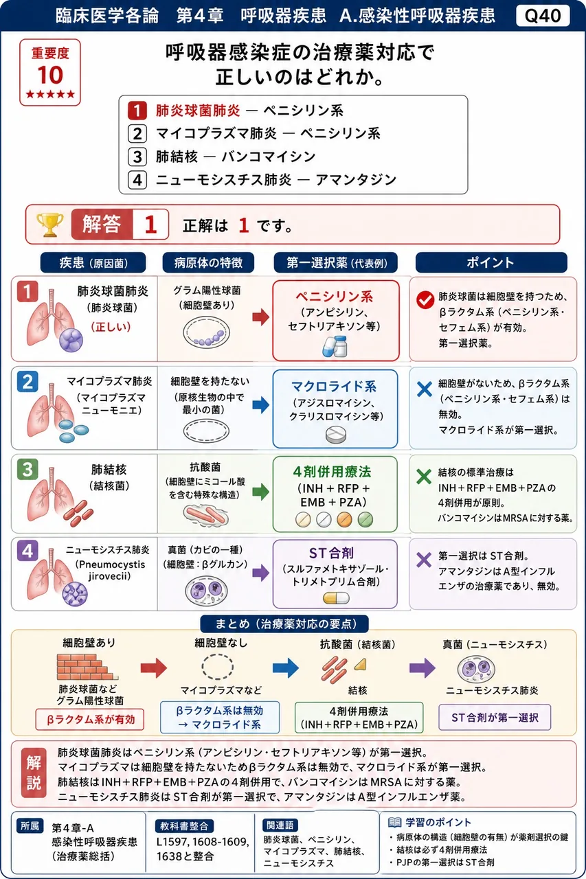 呼吸器感染症の治療薬対応で正しいのはどれか。 解説図