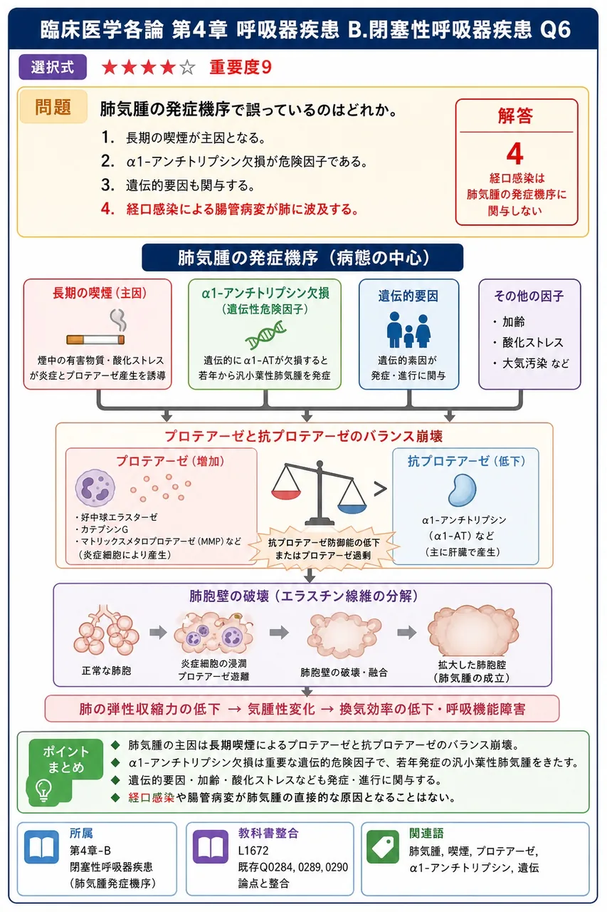 肺気腫の発症機序で誤っているのはどれか。 解説図