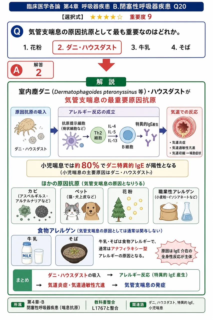 気管支喘息の原因抗原として最も重要なのはどれか。 解説図