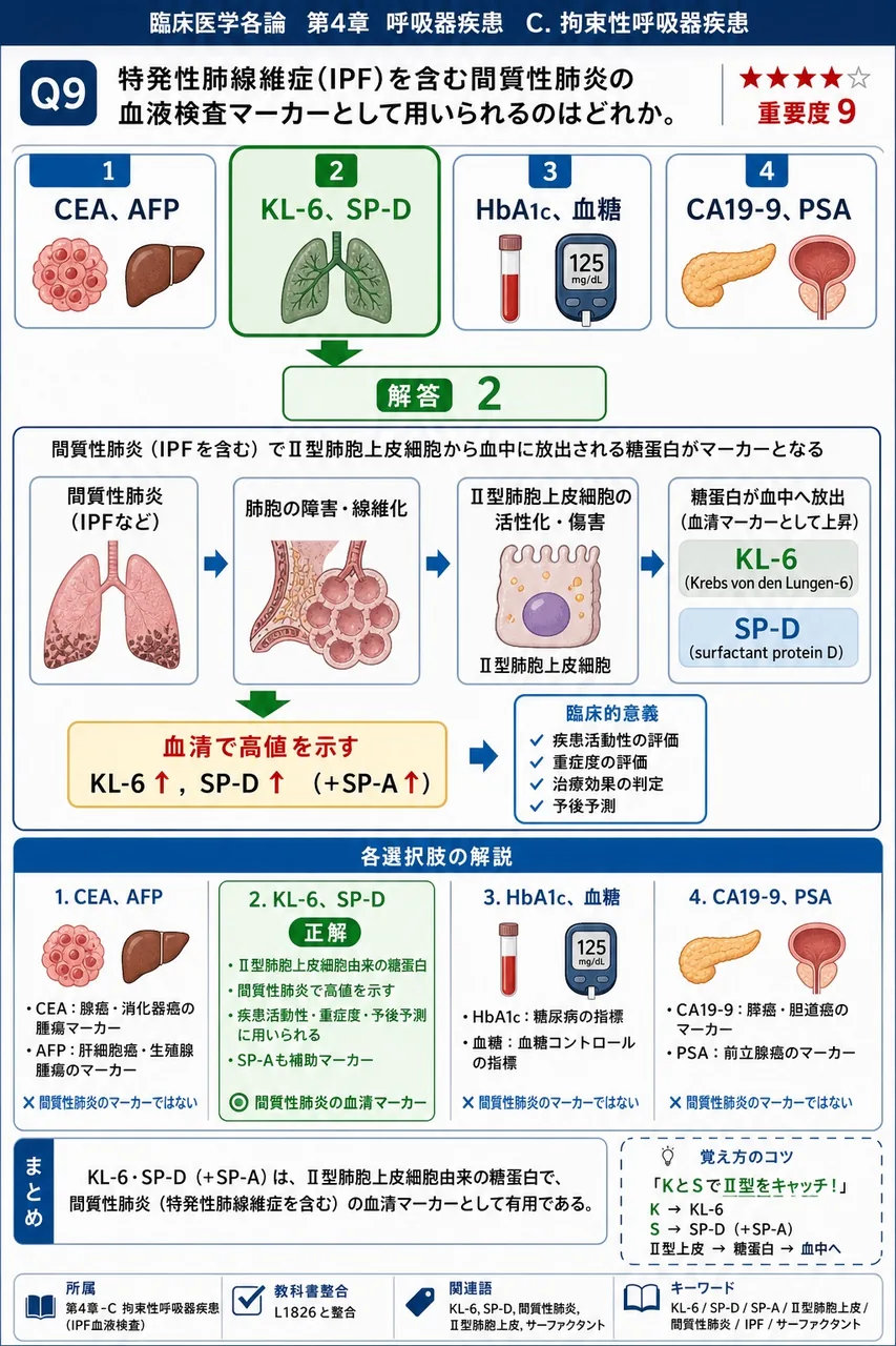 特発性肺線維症(IPF)を含む間質性肺炎の血液検査マーカーとして用いられるのはどれか。 解説図
