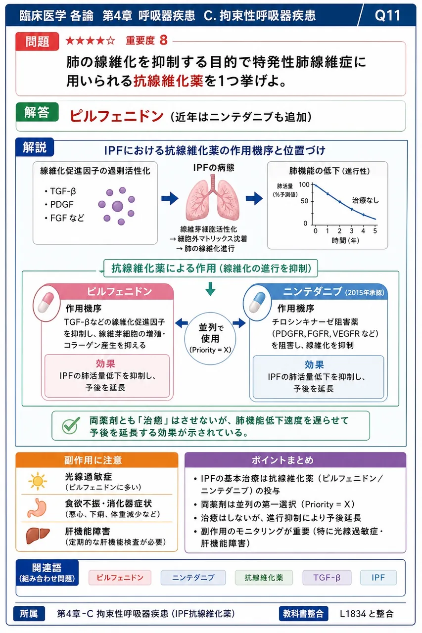 肺の線維化を抑制する目的で特発性肺線維症に用いられる抗線維化薬を1つ挙げよ。 解説図