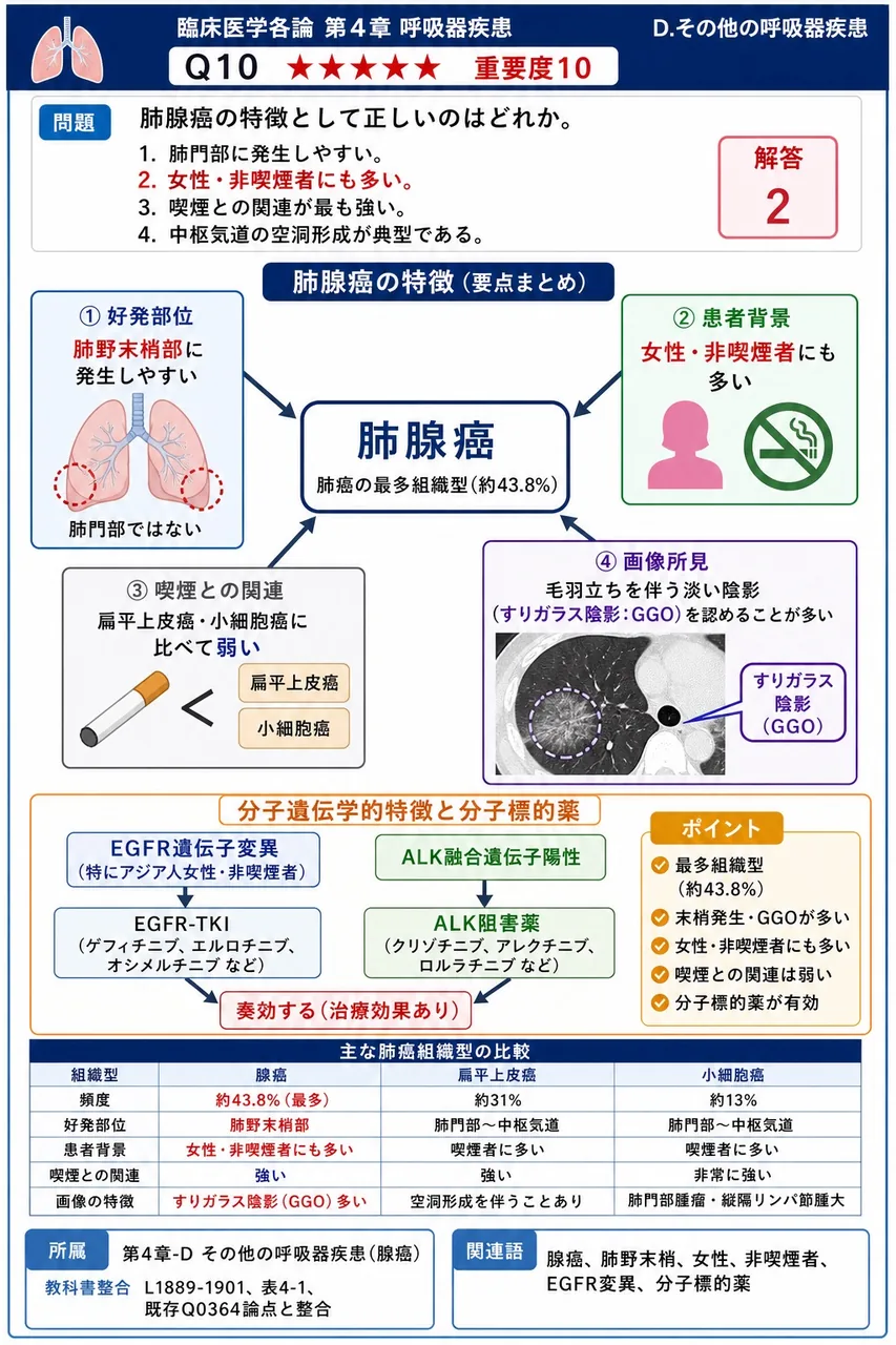 肺腺癌の特徴として正しいのはどれか。 解説図