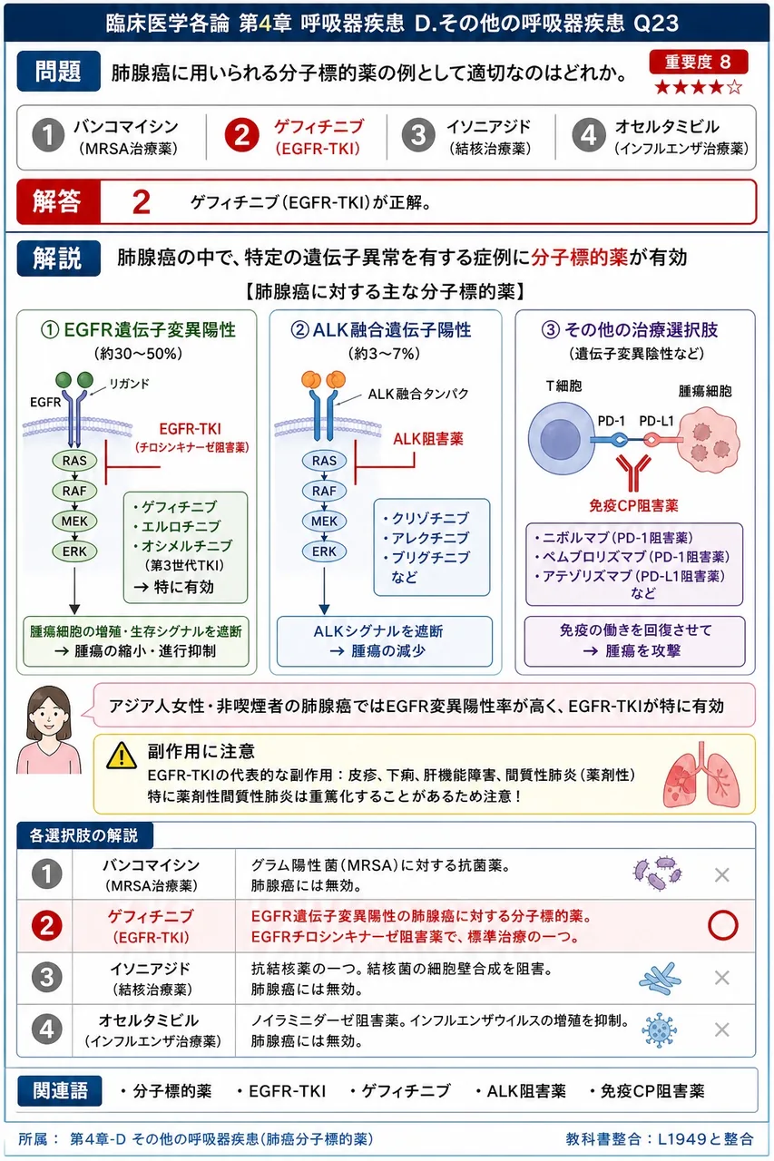 肺腺癌に用いられる分子標的薬の例として適切なのはどれか。 解説図