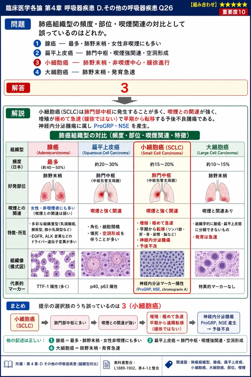 肺癌組織型の頻度・部位・喫煙関連の対比として誤っているのはどれか。 解説図
