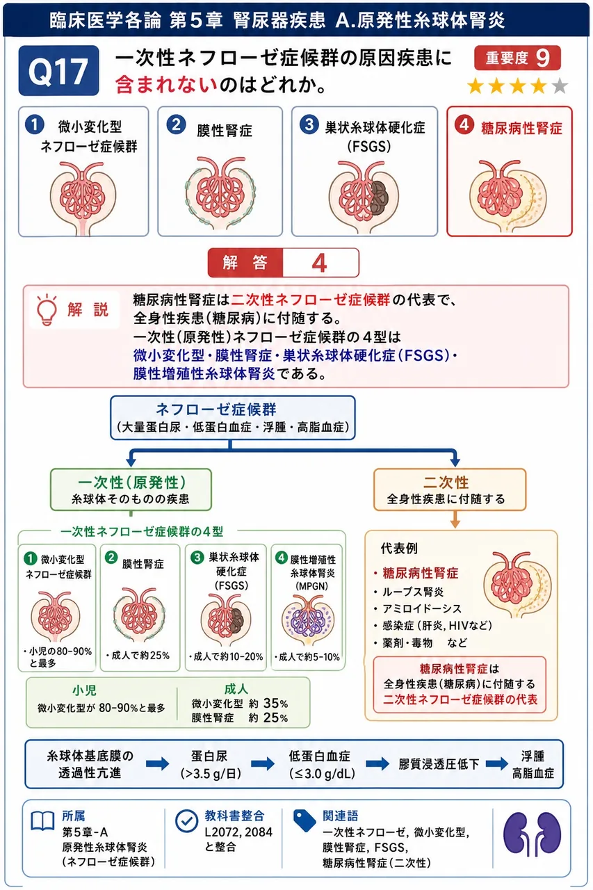 一次性ネフローゼ症候群の原因疾患に含まれないのはどれか。 解説図