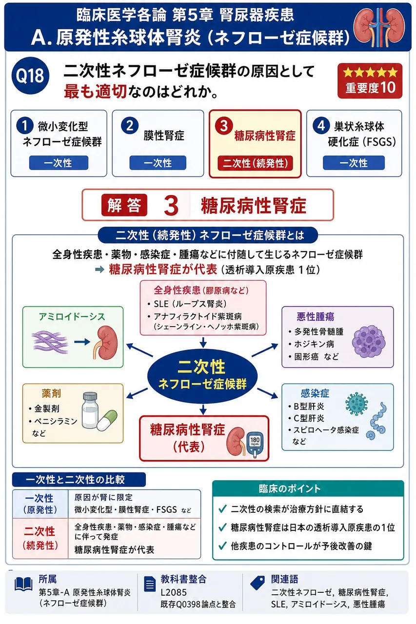 二次性ネフローゼ症候群の原因として最も適切なのはどれか。 解説図